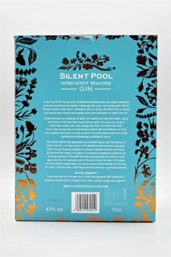 Intricately Realised Gin Inkl. Kelch -Angebote Baileys Store dsc00589 fotor