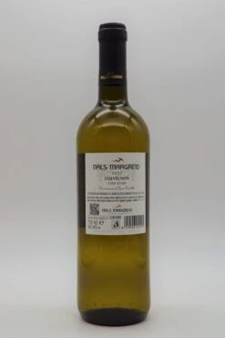 Sauvignon 2017 -Angebote Baileys Store dsc08053