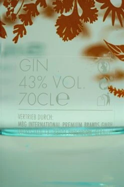Intricately Realised Gin Inkl. Kelch -Angebote Baileys Store dsc08596avdifunlfk3sz