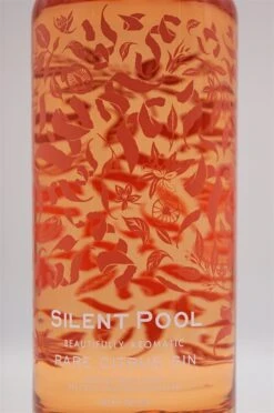 Rare Citrus Gin -Angebote Baileys Store dsc08599